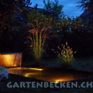 Gartenbecken Bei Nacht 001